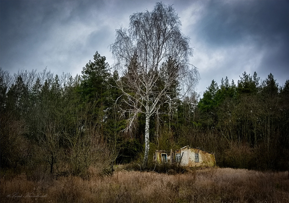 Фотографія Колись тут вирувало життя... / Lana Kravchenko / photographers.ua