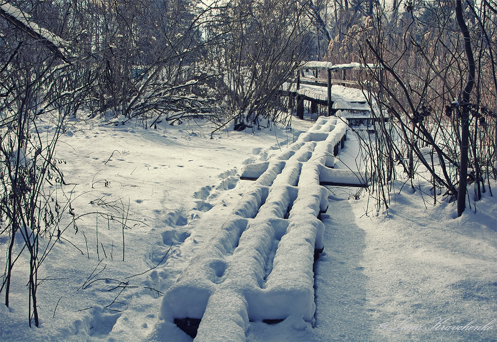 Фотографія За три дні до Весни (продовження) / Lana Kravchenko / photographers.ua