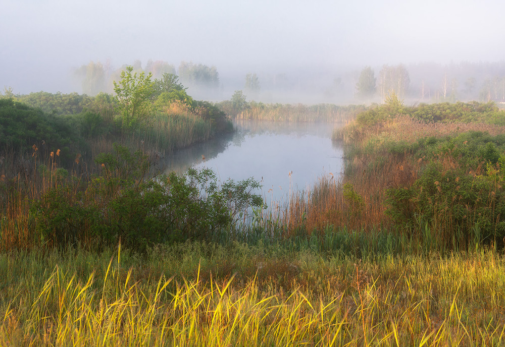 Фотографія Молочні ріки, кисельні береги...) / Lana Kravchenko / photographers.ua