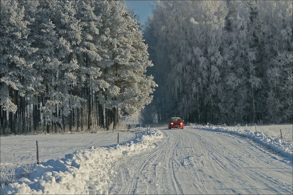Фотографія зима 2009 - III / Павел Хмур / photographers.ua