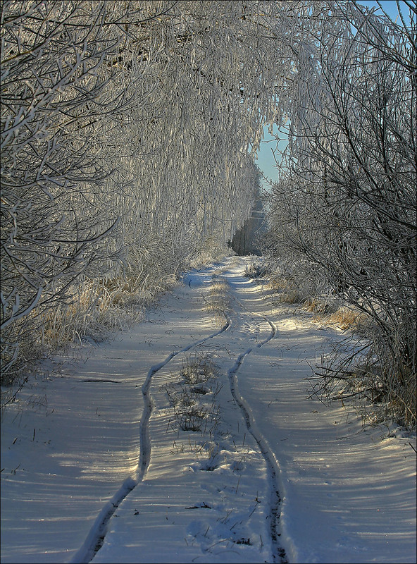 Фотографія перші сліди - зима- 5.01.20009 / Павел Хмур / photographers.ua