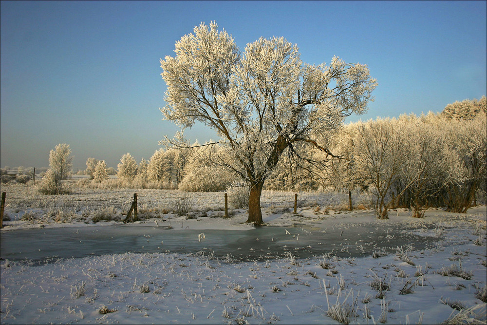 Фотографія зима - 2006 / Павел Хмур / photographers.ua
