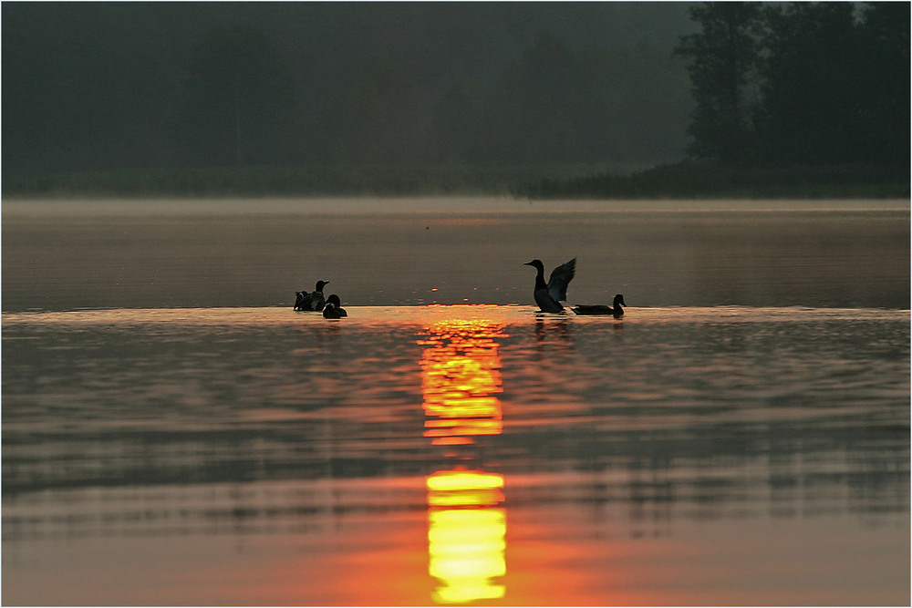 Фотографія уранці на озері / Павел Хмур / photographers.ua