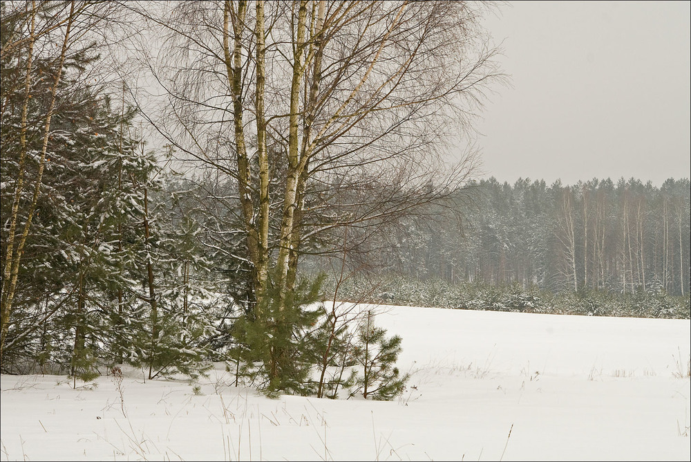 Фотографія бували зими - 4 / Павел Хмур / photographers.ua