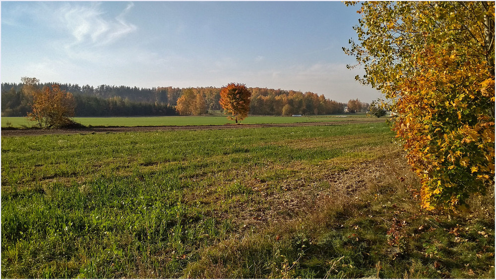 Фотографія сонячна осінь - 5 / Павел Хмур / photographers.ua