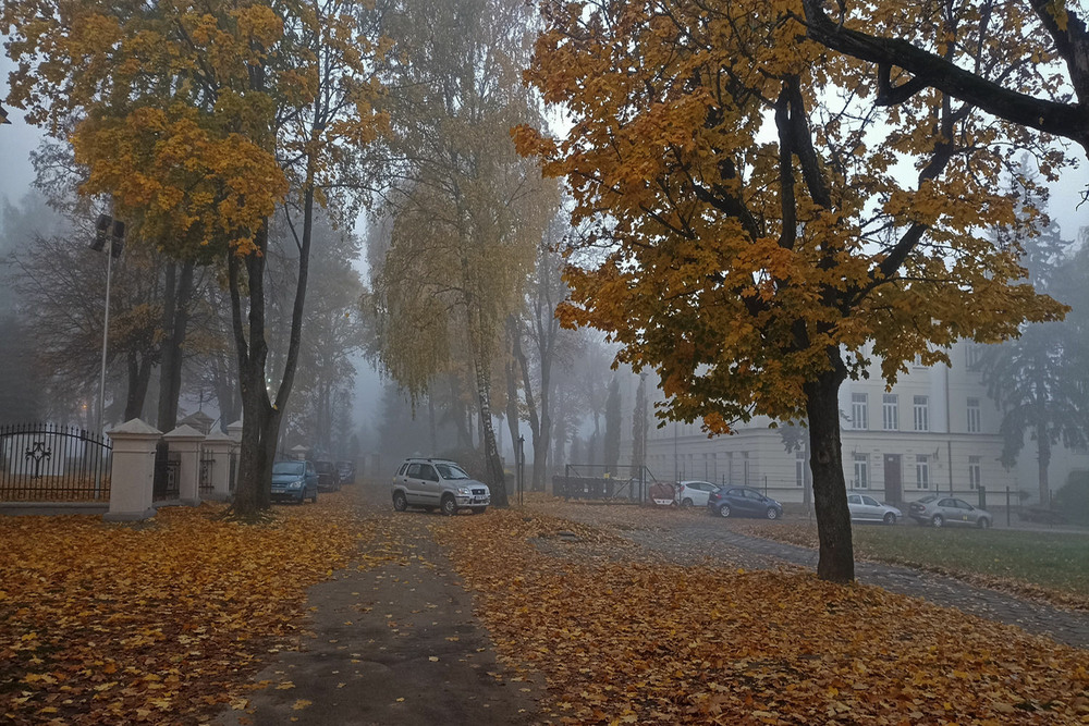 Фотографія осінній туманний ранок / Павел Хмур / photographers.ua