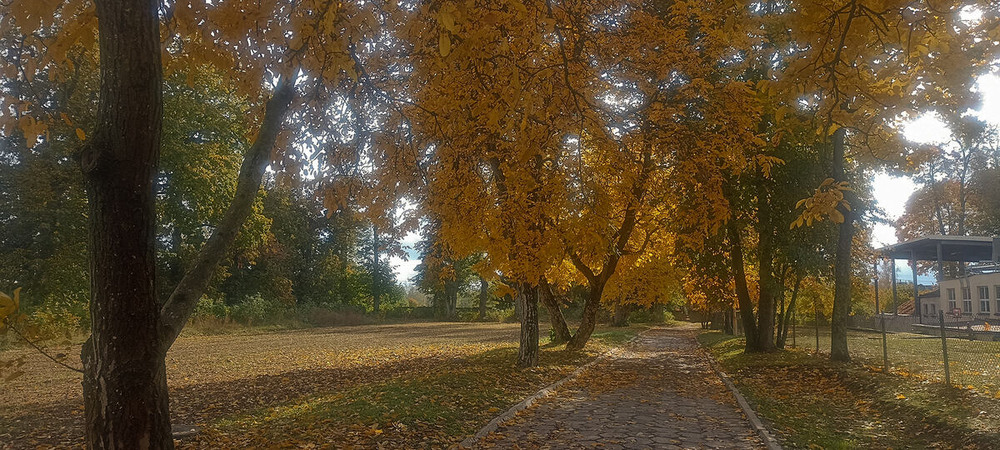 Фотографія осінній мотив / Павел Хмур / photographers.ua