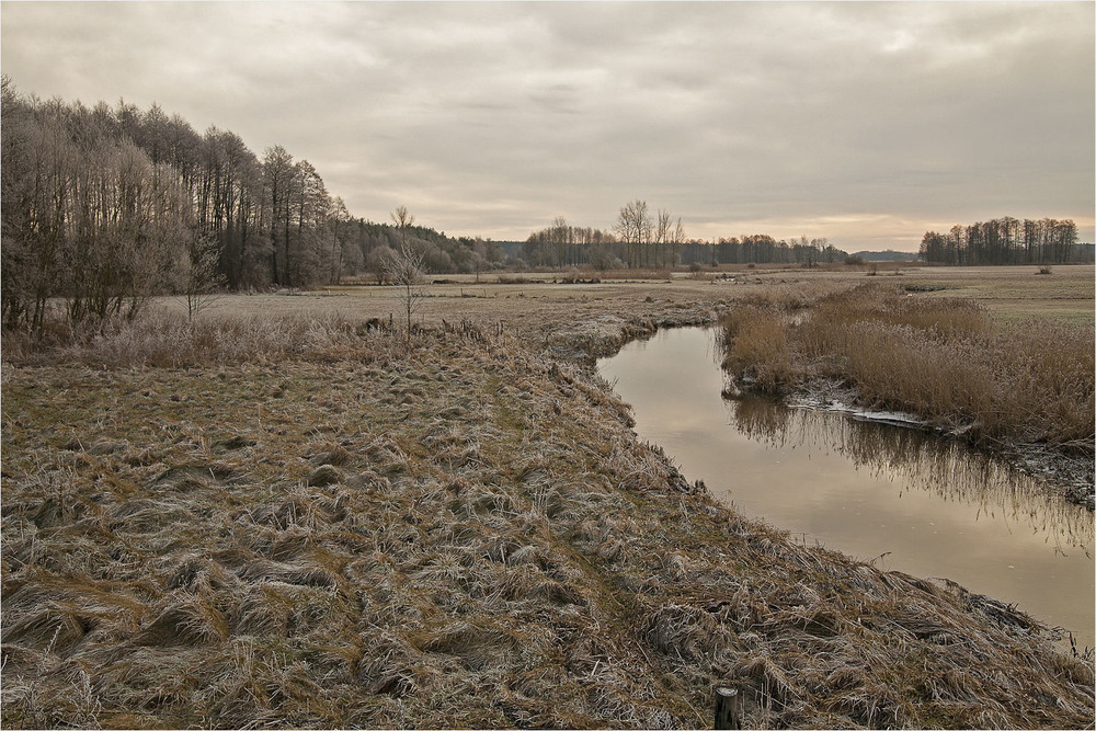 Фотографія взимку біля річки / Павел Хмур / photographers.ua