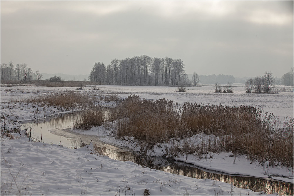 Фотографія взимку біля річки / Павел Хмур / photographers.ua