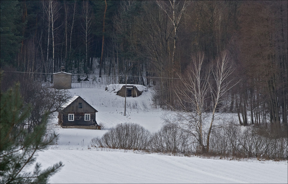 Фотографія старий будинок на краю лісу / Павел Хмур / photographers.ua