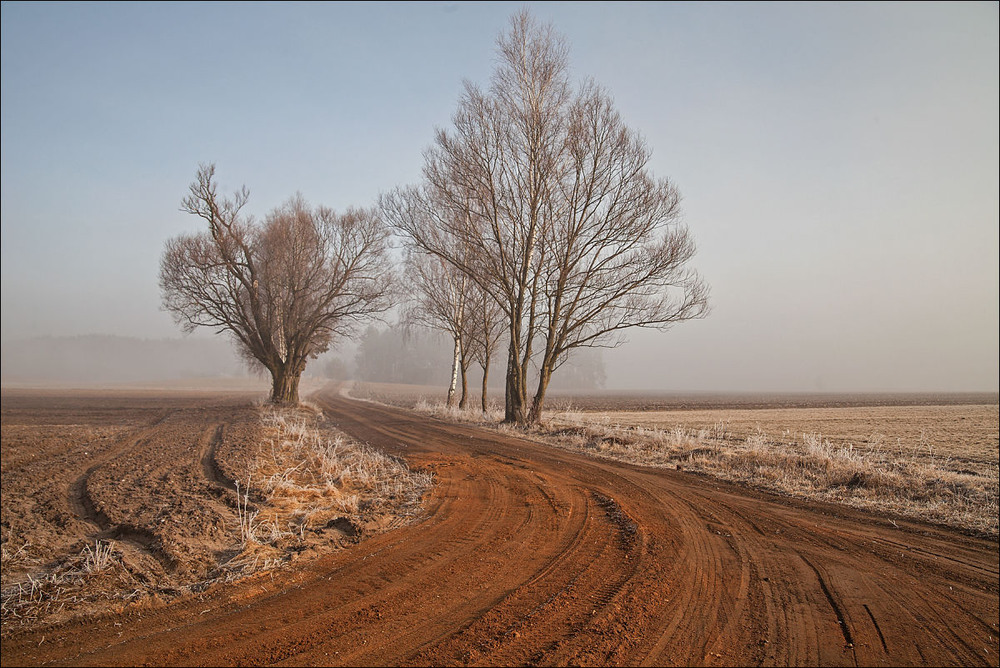 Фотографія у тумані / Павел Хмур / photographers.ua