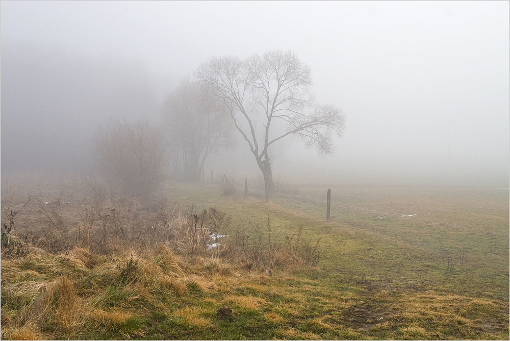 Фотографія осінні тумани / Павел Хмур / photographers.ua
