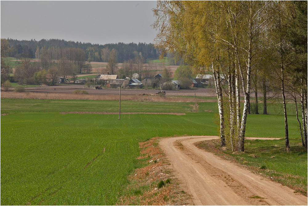 Фотографія весна в селі / Павел Хмур / photographers.ua