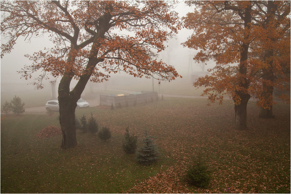 Фотографія осінь за моїм вікном / Павел Хмур / photographers.ua