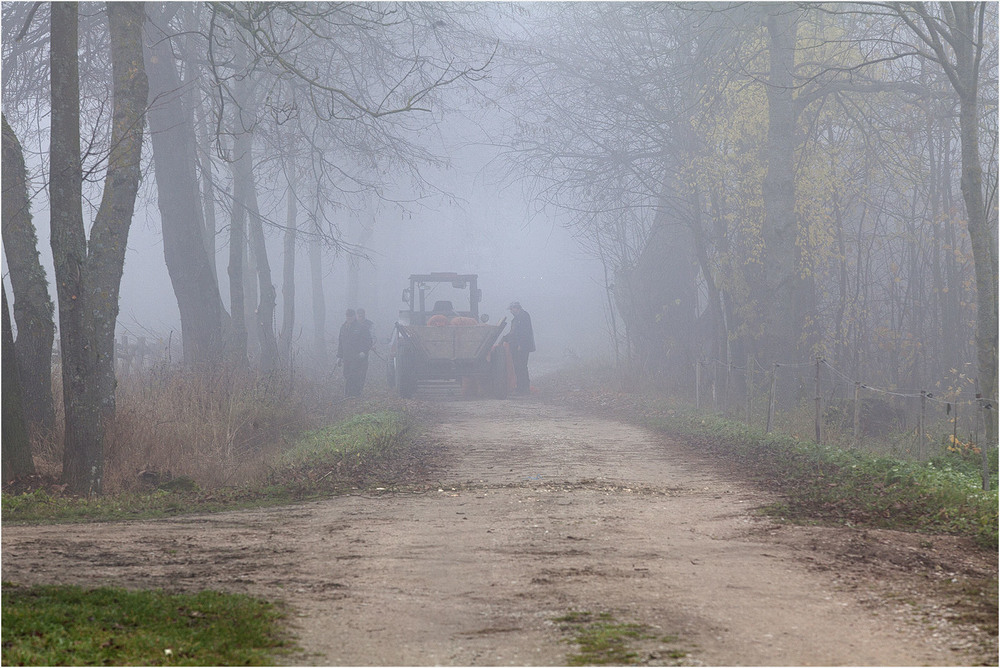 Фотографія туманний ранок - 2 / Павел Хмур / photographers.ua