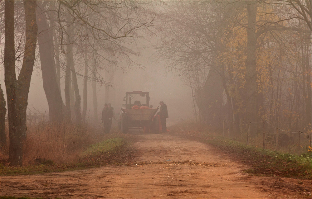 Фотографія в тумане / Павел Хмур / photographers.ua