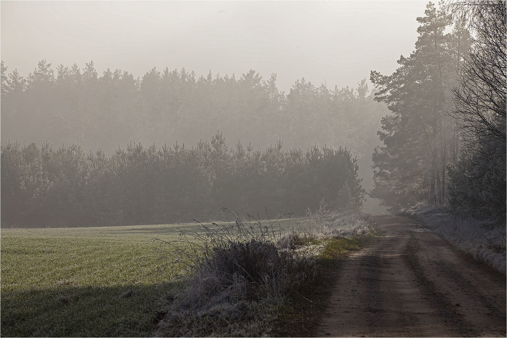 Фотографія у уранішньому тумані - 4 / Павел Хмур / photographers.ua
