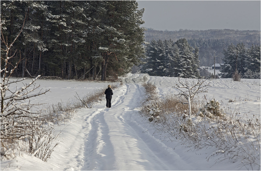 Фотографія новенький снежок / Павел Хмур / photographers.ua