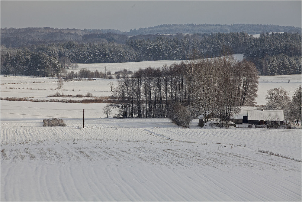 Фотографія зимний ландшафт / Павел Хмур / photographers.ua