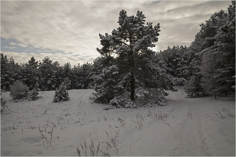 Фотографія зимний ландшафт / Павел Хмур / photographers.ua