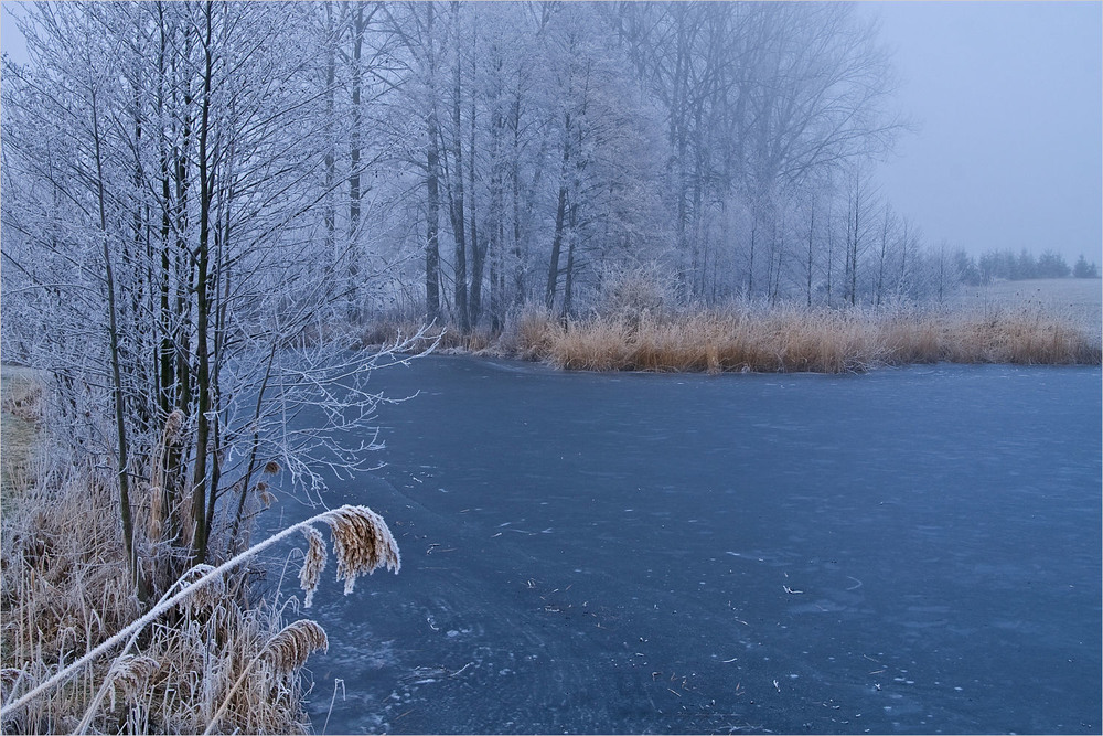 Фотографія перший заморозок / Павел Хмур / photographers.ua