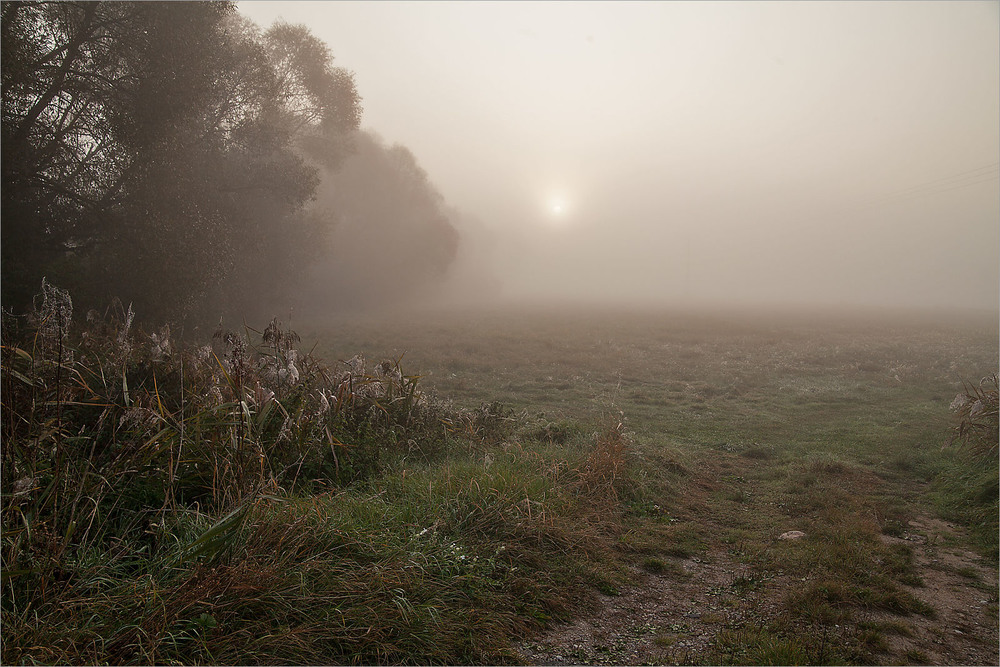 Фотографія сонце крізь туман / Павел Хмур / photographers.ua