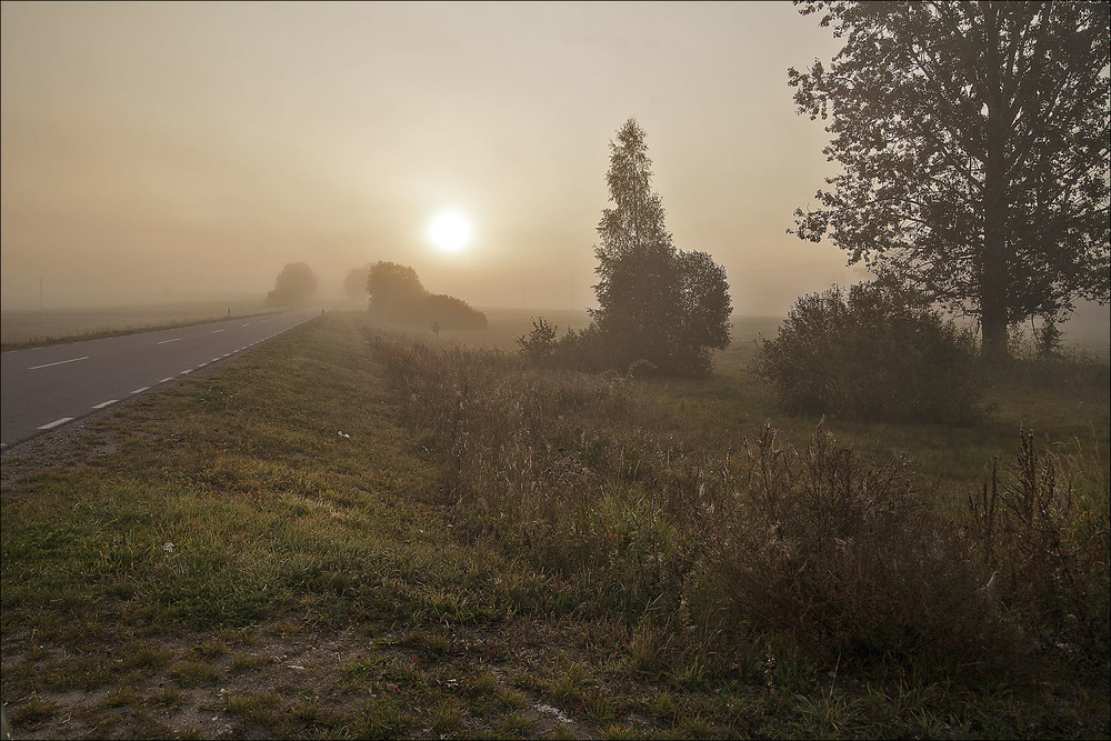Фотографія ранок туманний - 3 / Павел Хмур / photographers.ua