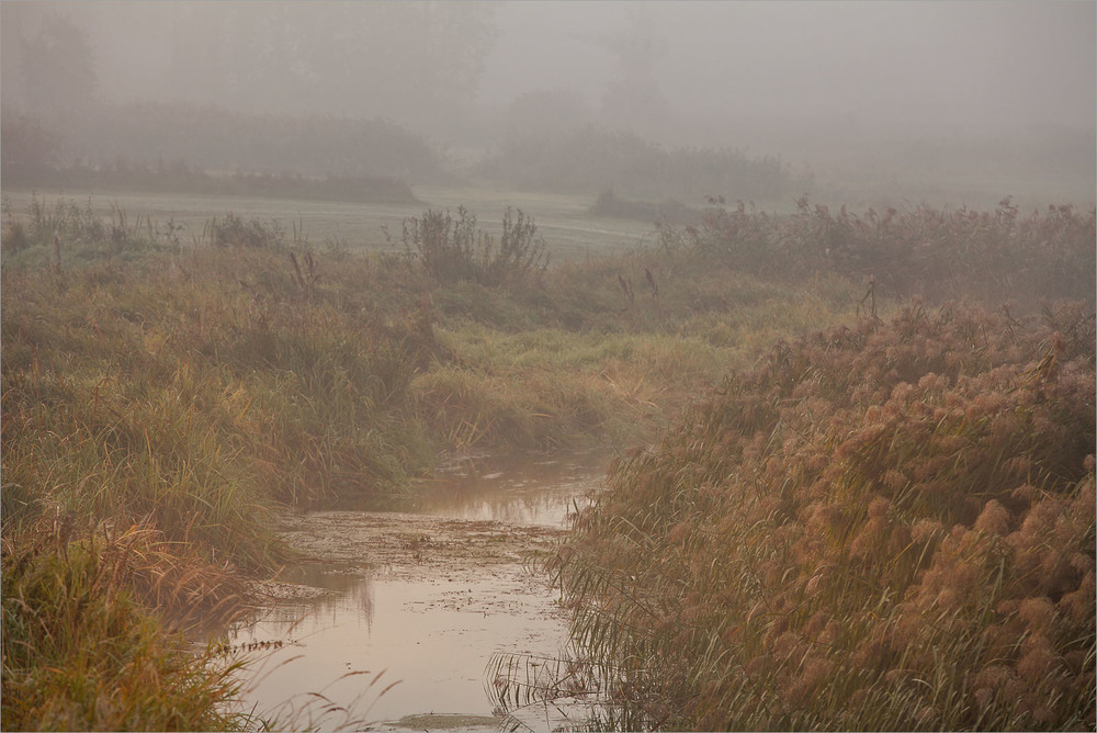 Фотографія а на річці туман / Павел Хмур / photographers.ua
