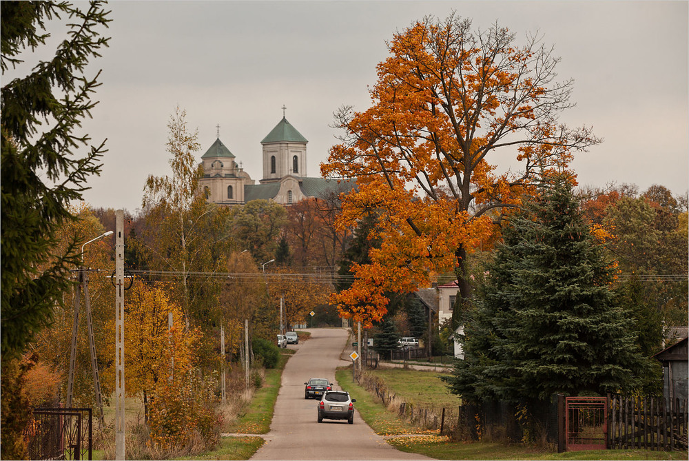 Фотографія осінь на вулиці / Павел Хмур / photographers.ua