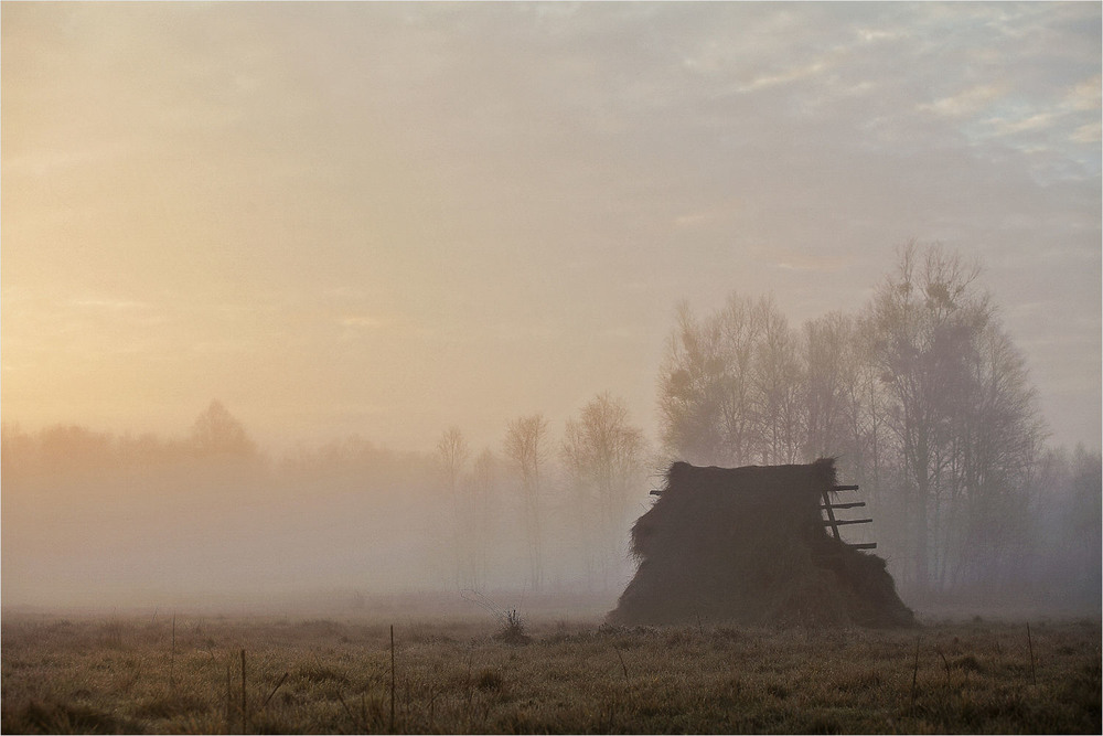 Фотографія в туманi - II / Павел Хмур / photographers.ua