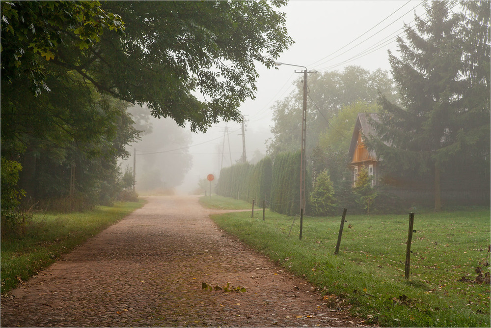 Фотографія туманное утро в деревне / Павел Хмур / photographers.ua