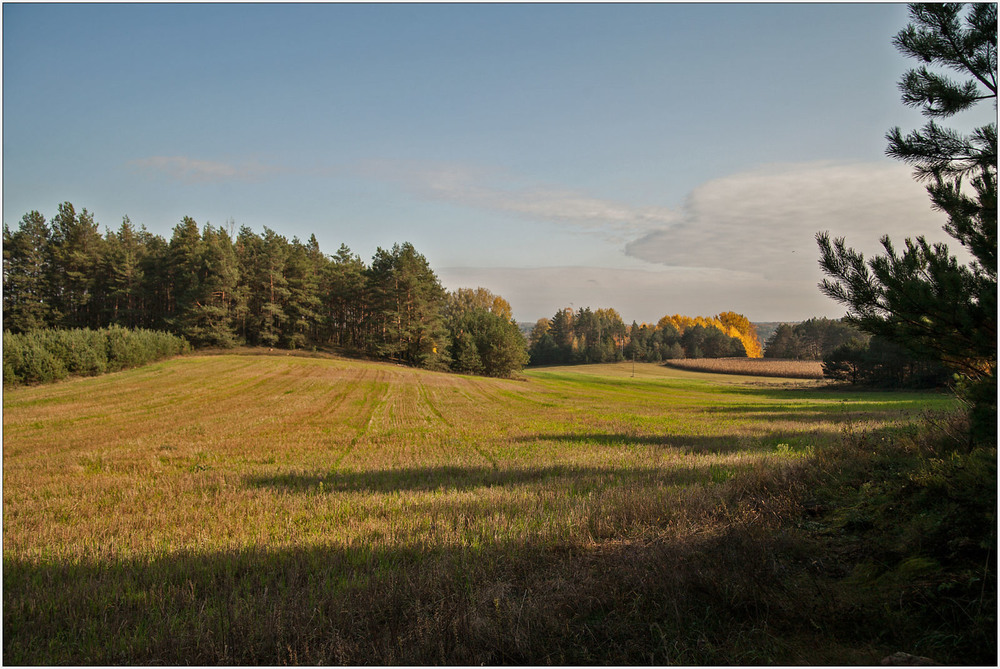 Фотографія осінь в полі / Павел Хмур / photographers.ua