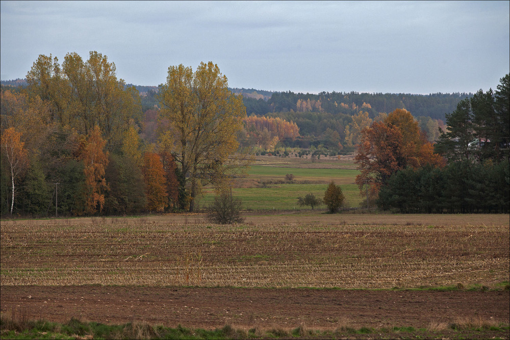 Фотографія сільська осінь - 3 / Павел Хмур / photographers.ua