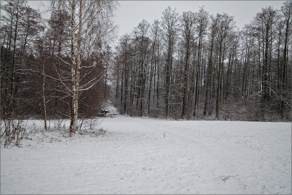 Фотографія сьогодні випав сніг / Павел Хмур / photographers.ua