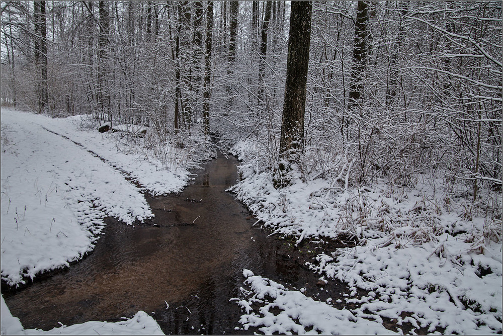 Фотографія струмок в зиму / Павел Хмур / photographers.ua
