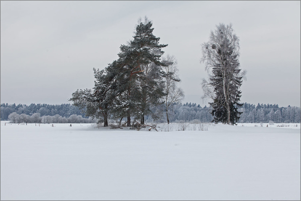 Фотографія зима / Павел Хмур / photographers.ua