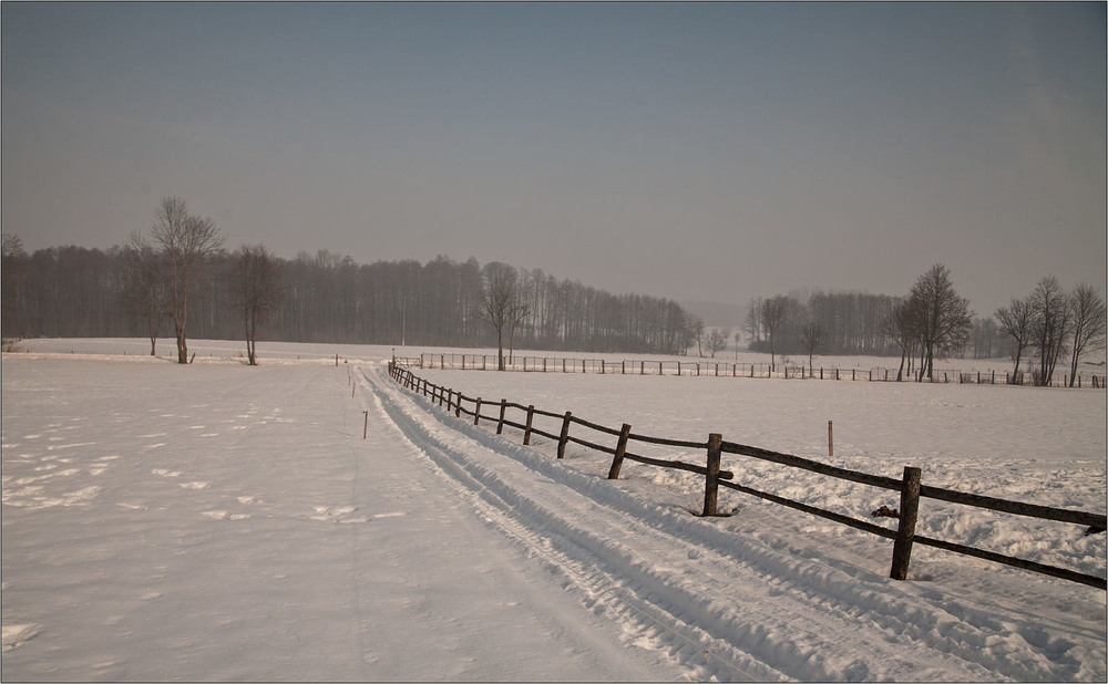 Фотографія зима - 23-02-2021 / Павел Хмур / photographers.ua