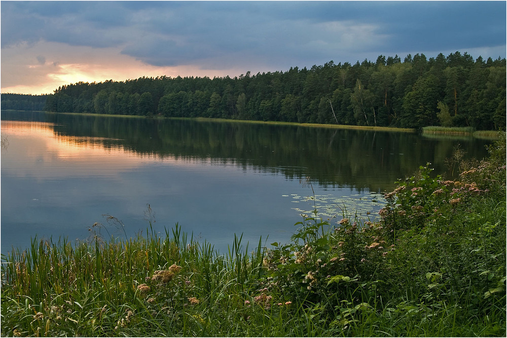 Фотографія вечер на озере / Павел Хмур / photographers.ua