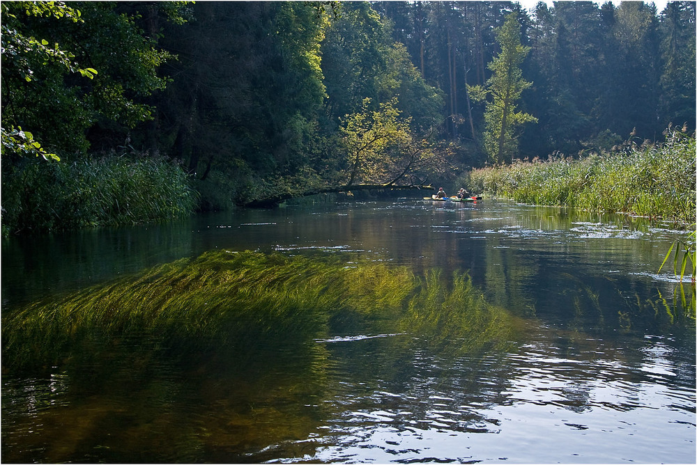 Фотографія на реке Черна Ганча / Павел Хмур / photographers.ua