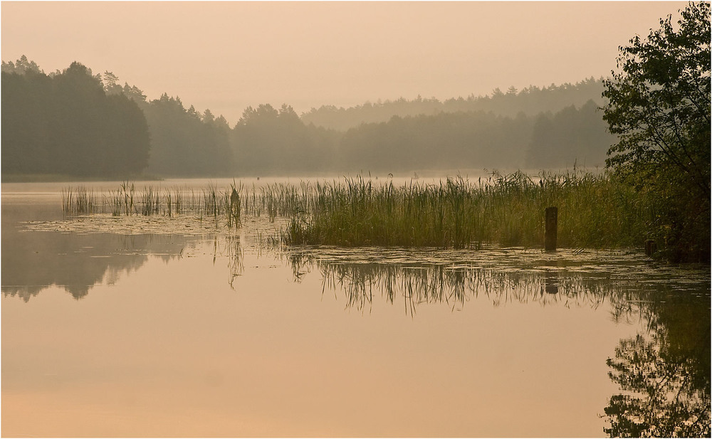 Фотографія утром на озере / Павел Хмур / photographers.ua