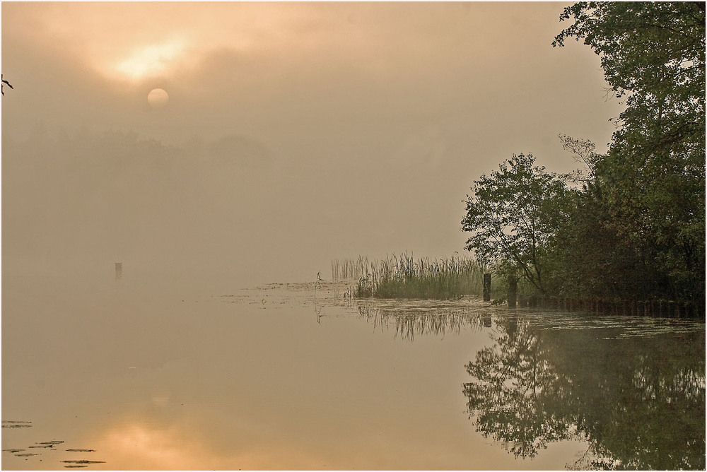 Фотографія утром на озере / Павел Хмур / photographers.ua