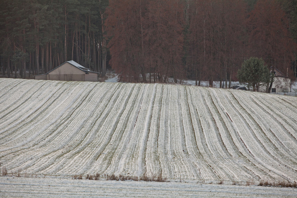 Фотографія перший сніг / Павел Хмур / photographers.ua