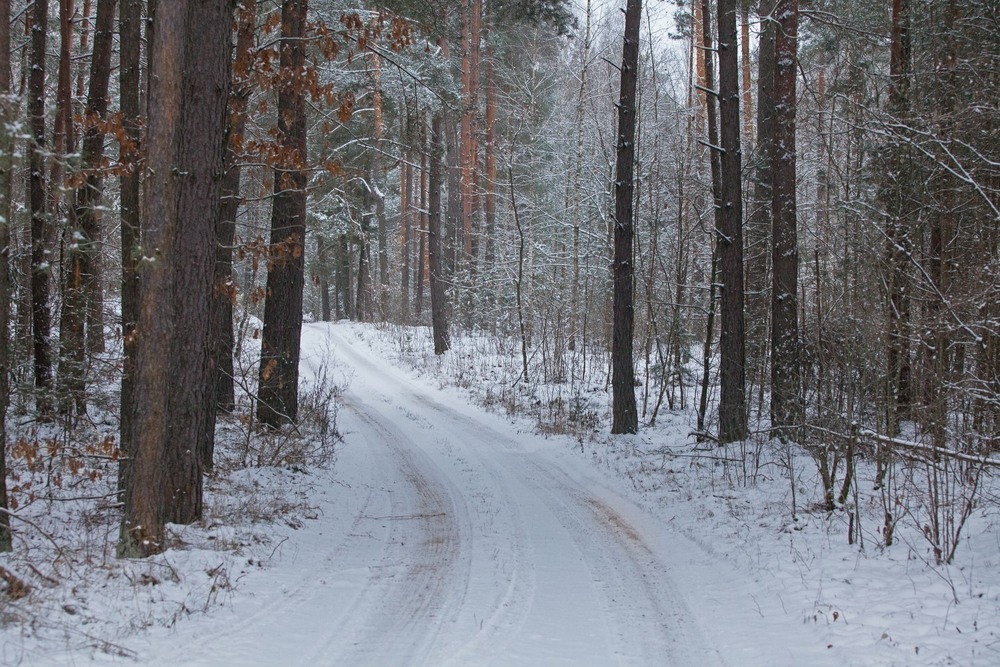 Фотографія зима - 2022 / Павел Хмур / photographers.ua