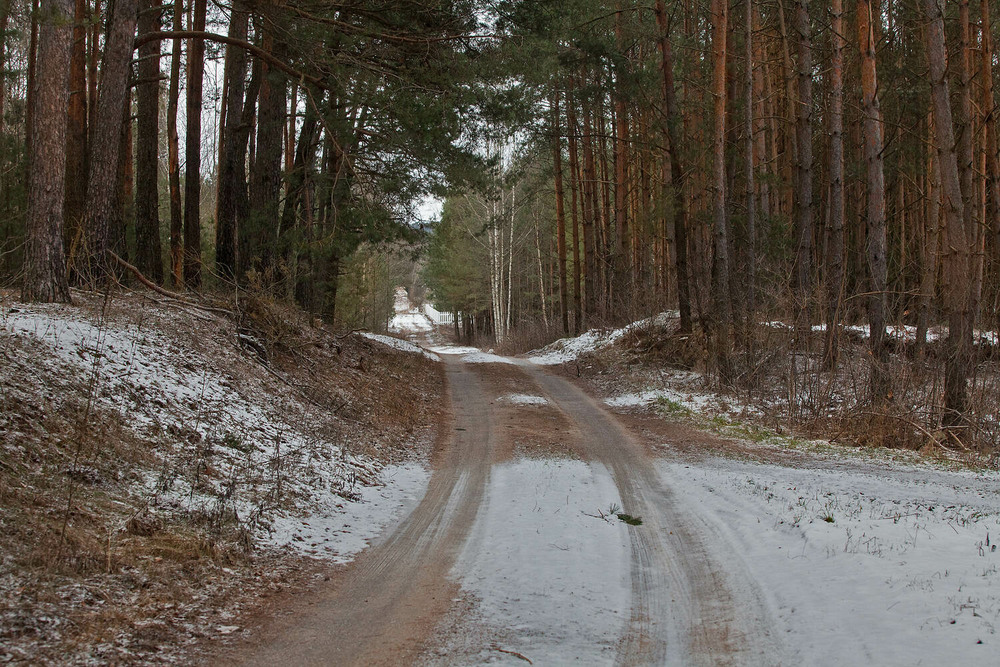 Фотографія зима - 2023 / Павел Хмур / photographers.ua