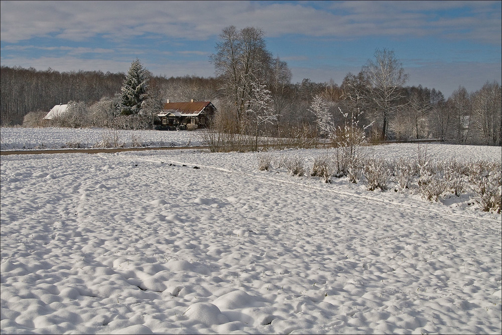 Фотографія по першому снігу / Павел Хмур / photographers.ua