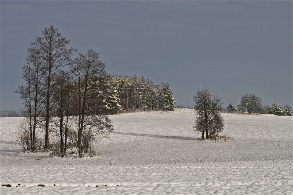Фотографія по першому снігу - 2 / Павел Хмур / photographers.ua