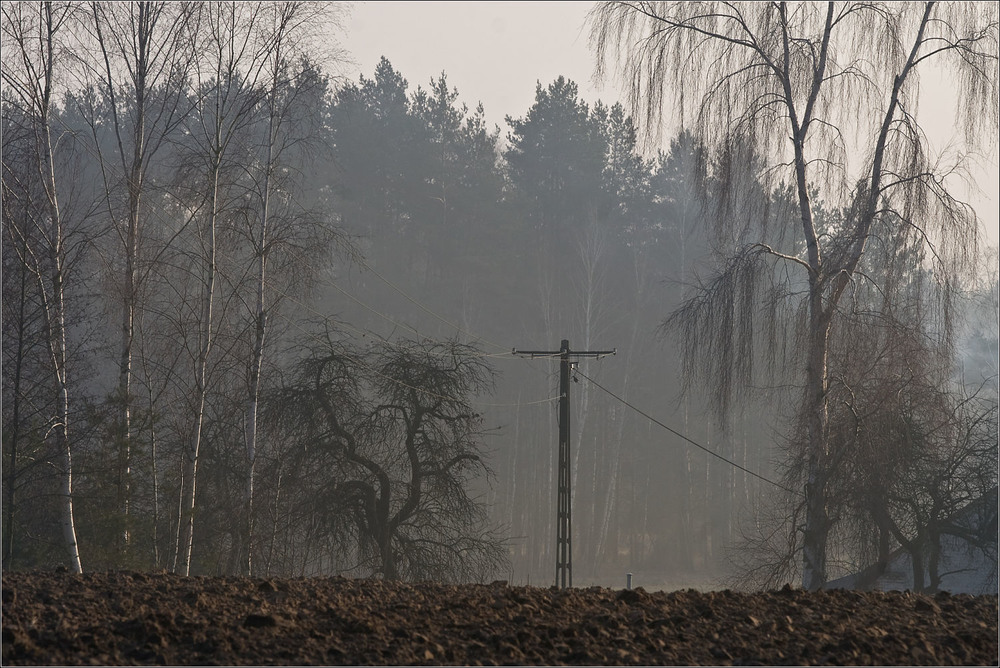 Фотографія зимові тумани / Павел Хмур / photographers.ua
