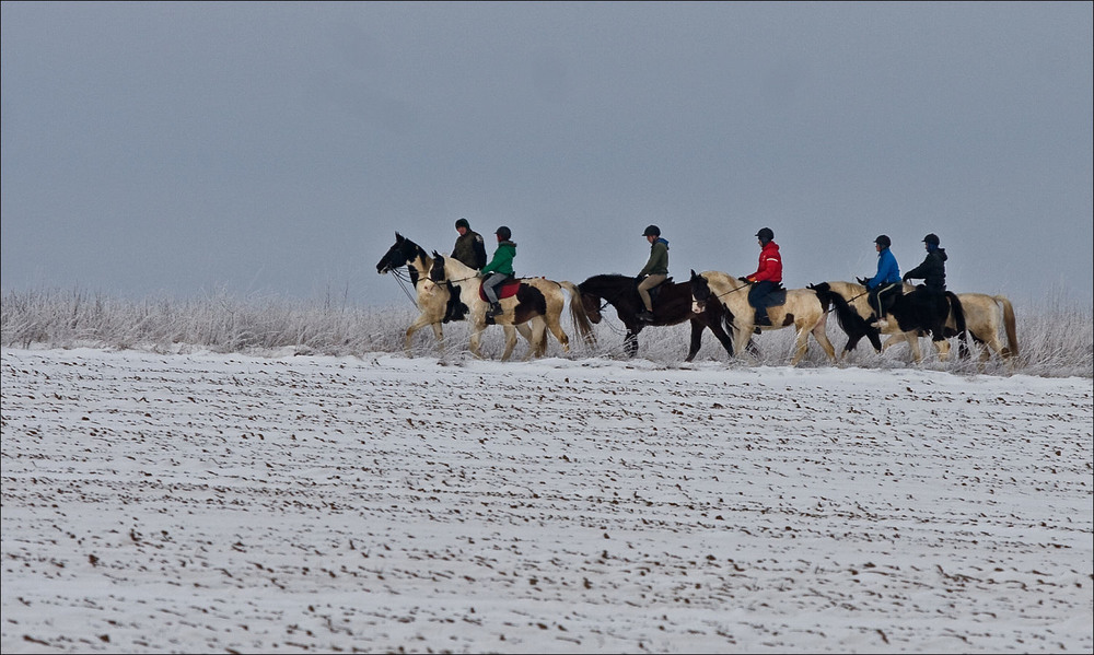 Фотографія зимняя прогулка / Павел Хмур / photographers.ua