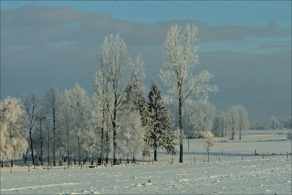 Фотографія зима 2009 - V / Павел Хмур / photographers.ua
