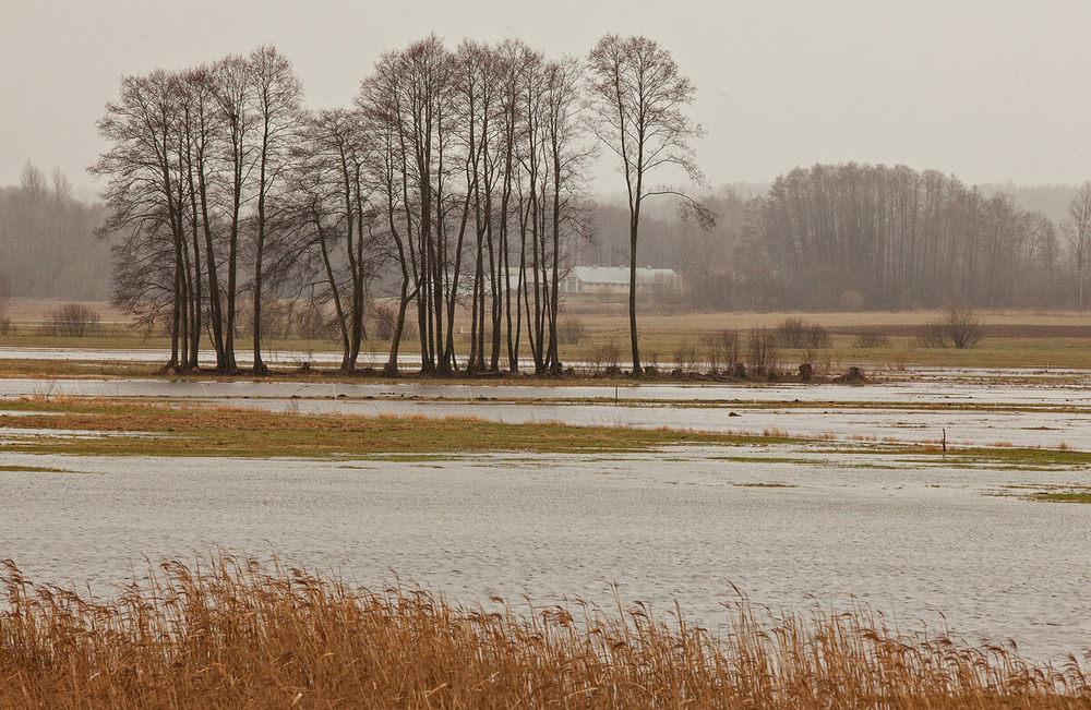 Фотографія зимний разлив речушки / Павел Хмур / photographers.ua